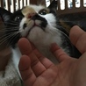 穏やかなスリスリみっちゃん サムネイル3
