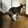穏やかなスリスリみっちゃん サムネイル6