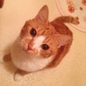  さん
