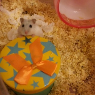 ありがとうございました。