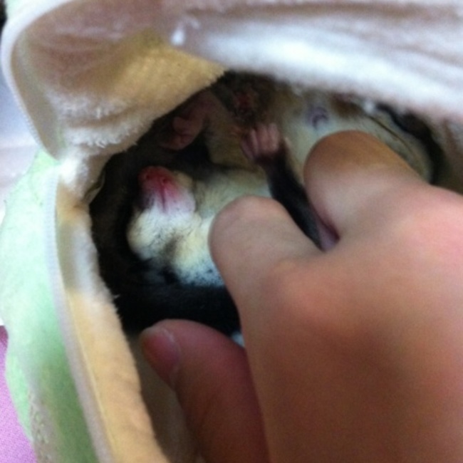 RiっChanのカバー写真