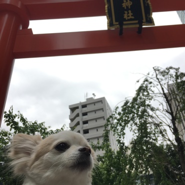の写真