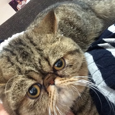 ぶちゃいくー(T ^ T)