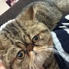 ぶちゃいくー(T ^ T)