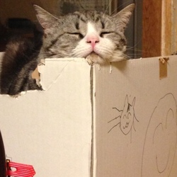 楽チンなのね（笑）