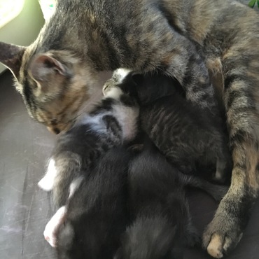 でも、おっぱいは1番いいとこ奪うよ。