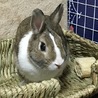 しの☆さん