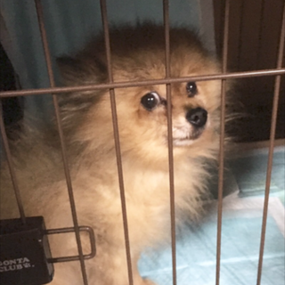 信頼出来る方が見つかりました♡