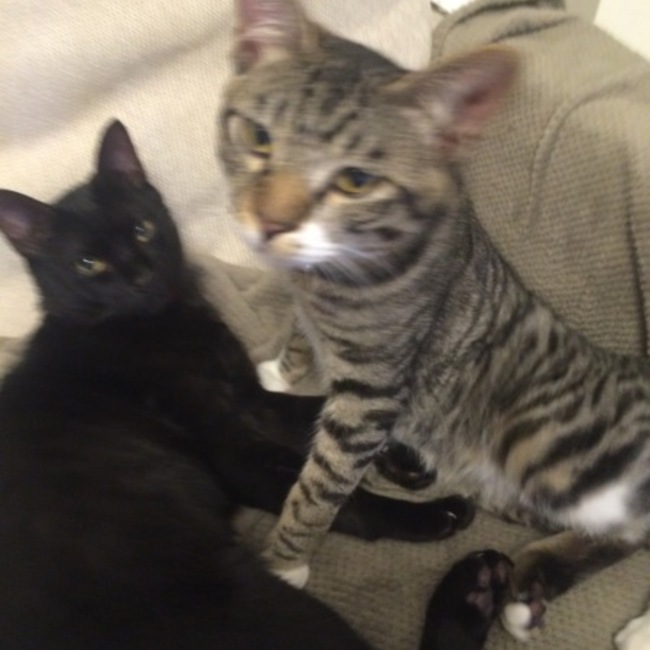 ゆうたこのカバー写真