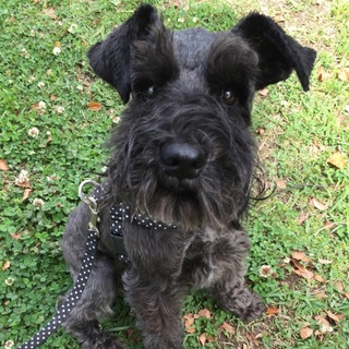 少しヤンチャな甘えたな男の子♪