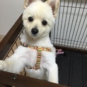 ほんとうにありがとうございました！