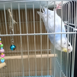 ご応募ありがとうございました！