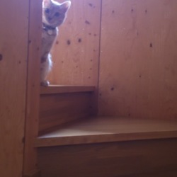 「感謝の日☆」サムネイル2