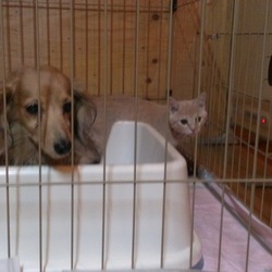 「感謝の日☆」サムネイル3