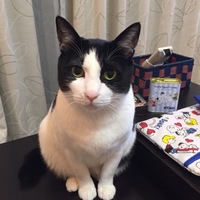 あらし