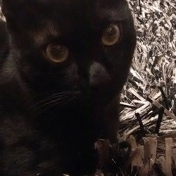 良い写真が撮れました