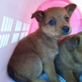 生涯を見てくれる方