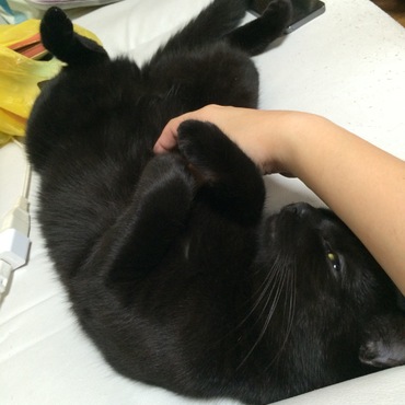 の写真
