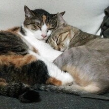 の写真