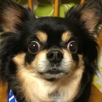 快