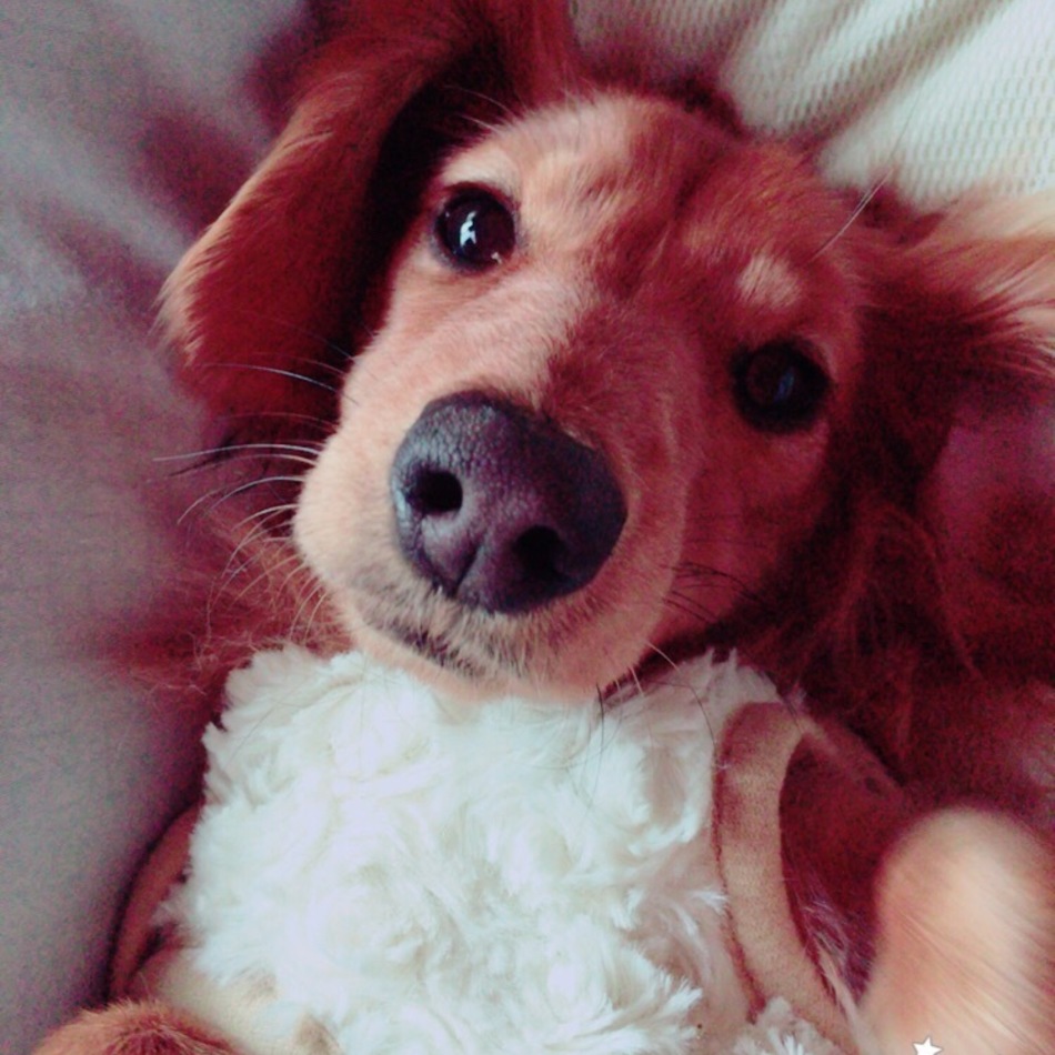 こまめのカバー写真