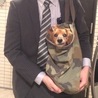 なぜかこのカバンが好きみたい