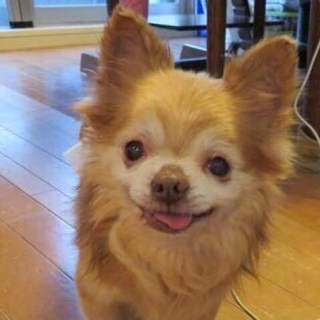 「こうた」人に興味はありますが、臆病です