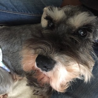 おっとりとした物静かな女の子♪