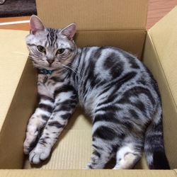 ちょっと大人になったかな