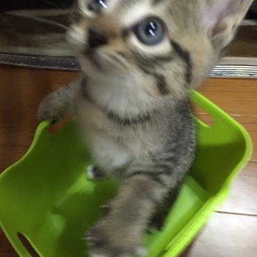 飛んで来ました…Σ(￣。￣ﾉ)ﾉ