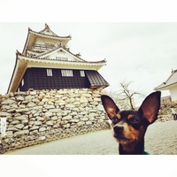 マサムネ