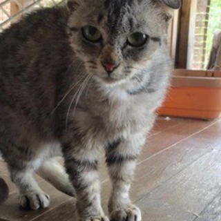 ちょっとシャイな、シャンティ♪