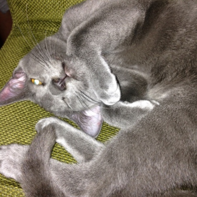 marikumiのカバー写真