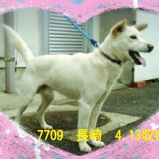 里親様が決まりました　ありがとうございました