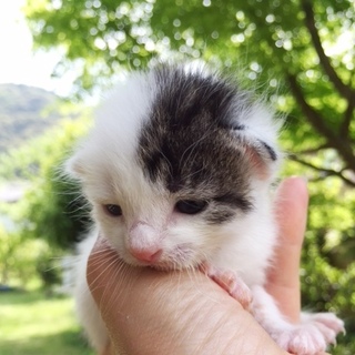 ★元気な甘えん坊の女の子★