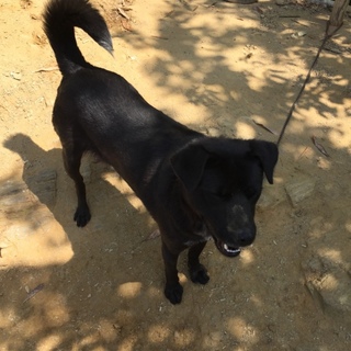 ライちゃん愛媛のＹ様宅の子にしていただけました