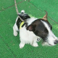 小鉄