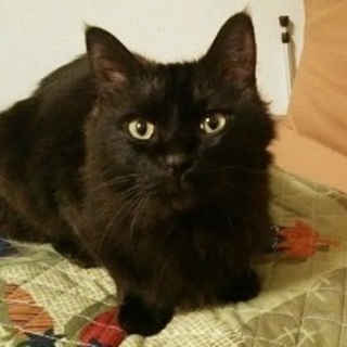 じろうくん　　とてもよく人なれしています