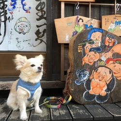 谷中散歩