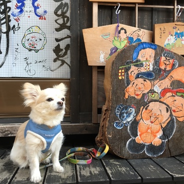 谷中の絵馬屋さんで