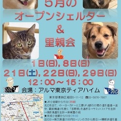 ティアハイムオープンシェルター里親会 サムネイル2