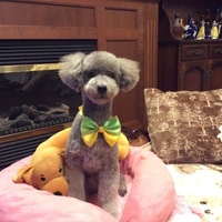 ヴァロン