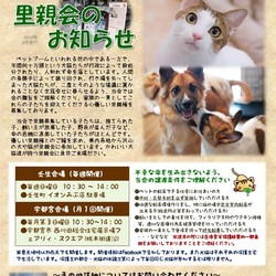 【壬生町・毎週日曜開催！】～みぶ里親会主催犬猫譲渡会～定例会場