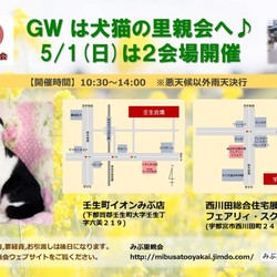 【宇都宮フェアリィマルシェにて出張里親会】～みぶ里親会主催犬猫譲渡会～ サムネイル1