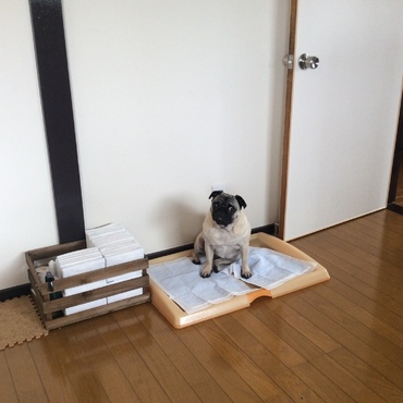 の写真