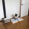 の写真