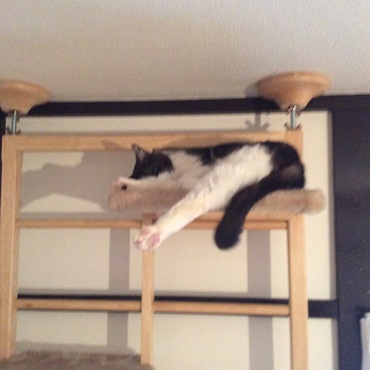 の写真