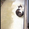 の写真