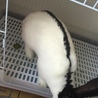 7か月。かなり大きくたくましくなってきました。