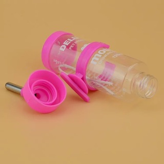 ハムちゃんの走り車や給水器と噛み石